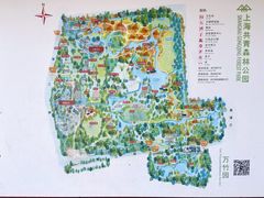 -上海共青森林公园