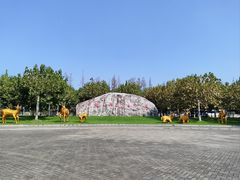 -上海海湾国家森林公园