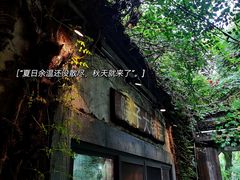 -院子餐厅·大锅菜·老杭帮(桥西直街店)