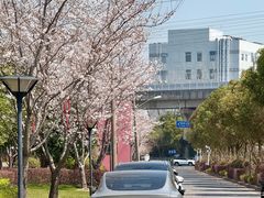 -外高桥保税区南(地铁站)