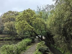 -兰亭风景区