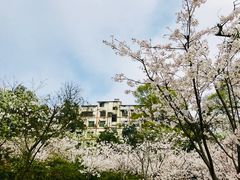 -南山植物园