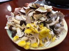 野生菌拼盘-菌之家·专业纯野生菌火锅·特色炒菌