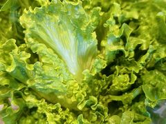 -王家渡火锅店(亦庄店)