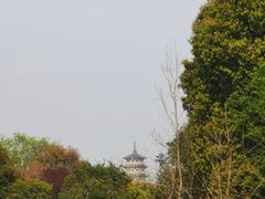 -蜀冈西峰生态公园