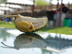 -潭柘厚院(桑峪村店)