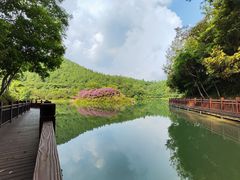 -广州白江湖森林公园