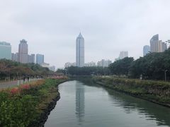 -万绿园