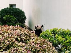 景点-青岛动物园