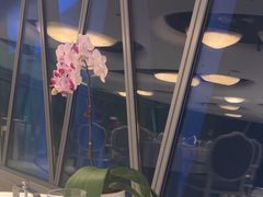 -广州塔卢特斯法国旋转餐厅