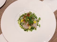 生薄当日鱼刺身-yokocho上横町·日本食街(深业上城店)