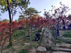 -广州市帽峰山景区