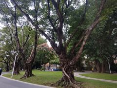 -人民公园(罗湖区)