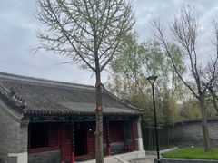 -护国天仙圣母庙