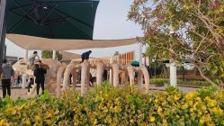 -季高兔窝窝亲子园(上海薰衣草公园店)