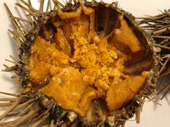 -海胆小馆(东北水饺·春柳店)