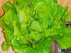 -明何记涮牛肚(品牌首店隋唐植物园南门古城路店)