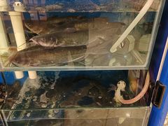 -秦记香辣蟹(松榆里店)