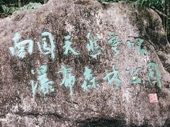 -姑婆山旅游区