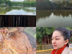 -美丽南方·老木棉匠园·团建烧烤·烤全羊