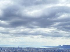 -长虫山生态公园风景林