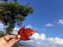 -牛背梁国家森林公园
