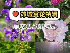 -黑龙江省森林植物园