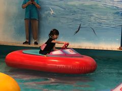 -蒙特利亲子乐园