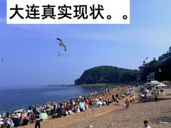-日月昇渔家菜·海肠捞饭·大连海鲜(星海公园店)