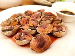 过水毛蚶-高佳庄·舟山海鲜(海景旗舰店)