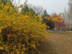 -东升八家郊野公园