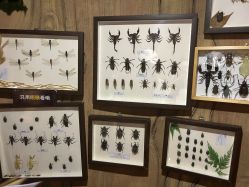 -Zoolung Zoolung动物主题公园(海信广场店)