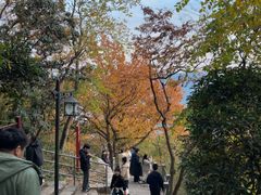 -灵顺寺