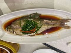 -湖锦酒楼·31年地道湖北菜(黄鹤楼店)