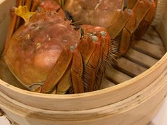 -维园悦谱·海派家常菜(乌鲁木齐南路店)