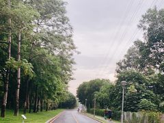 -福田红树林生态公园