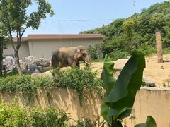 -宁波野生动物园