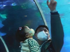 -石家庄海洋公园