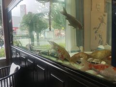 -玉雪春天(中正花园店)