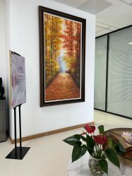 -薇兰专业脱毛连锁机构