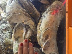 -土蚝·高压锅生蚝(百姓美食街店)