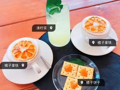-柑橘农场