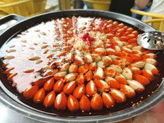 -水哥卜卜贝(东晓·胜汇里店)