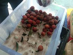 -岳各庄批发市场(西四环中路店)