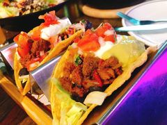 -Famous肥猫墨西哥音乐餐吧(五棵松华熙LIVE店)