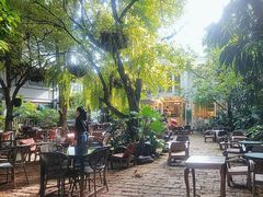 -Fern Forest Cafe