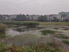 -两河城市森林公园