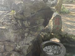 -海口火山口国家地质公园