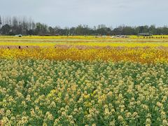 -中国天府农业博览园