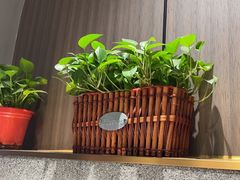 -南门四季铜锅涮肉(大屯·北苑店)